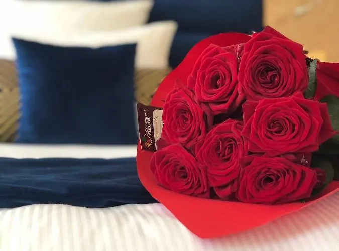 Chateau De Longpre Hotel Varilhes